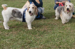 DSC01782_2