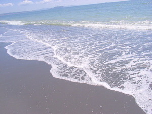 RIMG0043_2