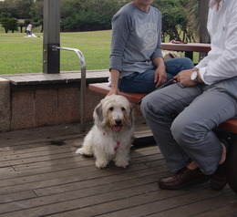 DSC01754_2