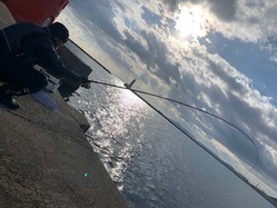 20190103河内渡船-14