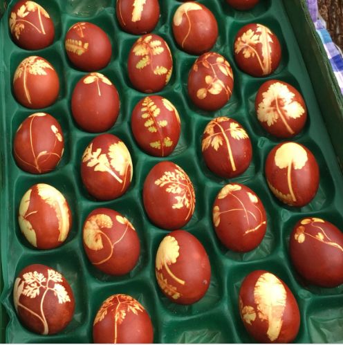 tamago4