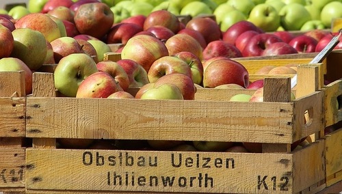 apple