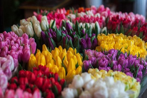 spring