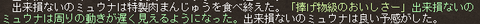 mogu3
