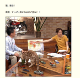 c758083d.png