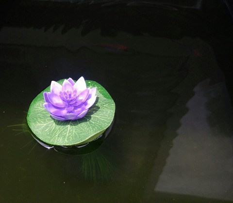 SavedImage_20180712_115206_01-1