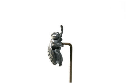 bg7