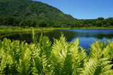 DSC00300