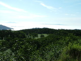 DSCF0525