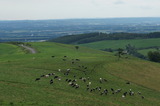 DSC00061