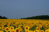 DSC00036