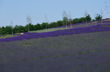 DSC00346