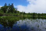 DSC00335