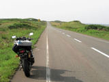 BlogPaint