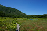 DSC00310