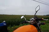 DSC00563