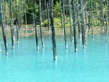 DSCF0571