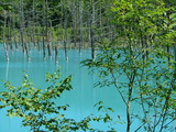 DSCF0555