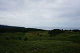 DSC00508