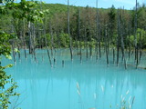 DSCF0551