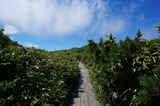 DSC00325