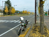 DSCF0584
