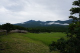 DSC00501