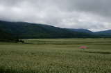 DSC00138