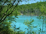 DSCF0557