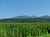 DSCF0530