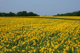 DSC00040