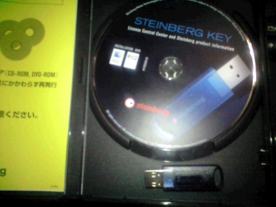 steinkey0