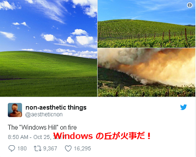 Windows Xp の草原が火事に 実は 火災にあったポイントから外れてた 黒翼猫のコンピュータ日記 2nd Edition