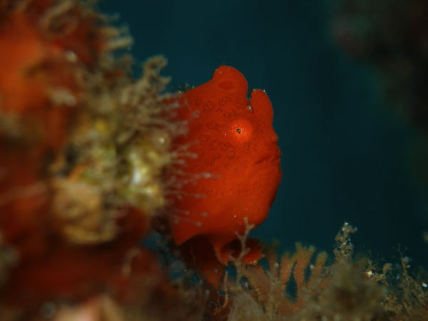 P1283715