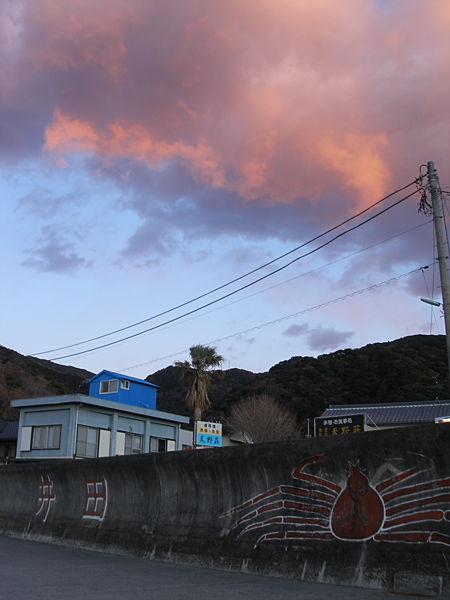 P1263581