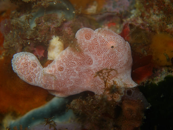 P1273593