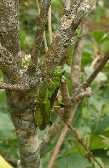 P9223073