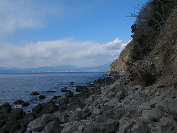 P1263454
