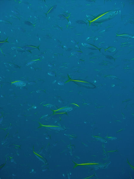 P1273669