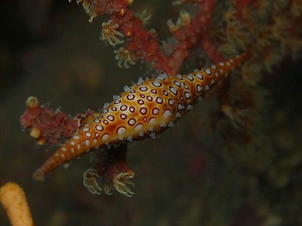 P1273601