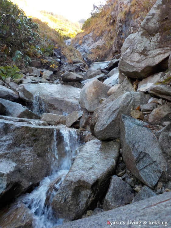 DSCN0132