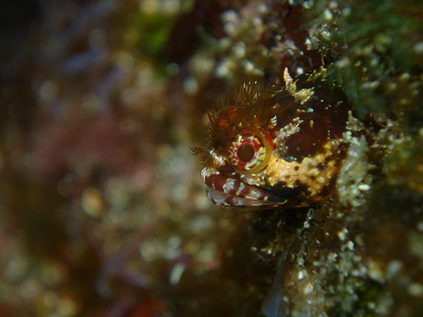 P1253351