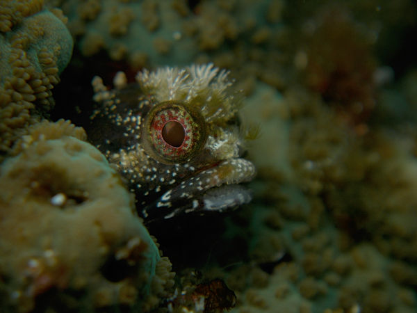 P1253419