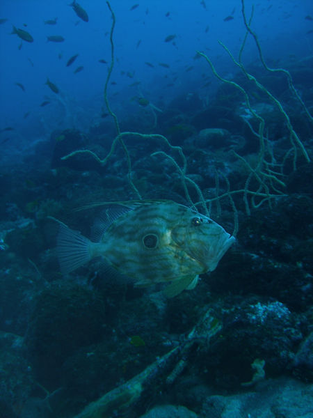 P1283698