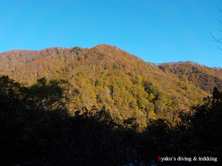 DSCN0116