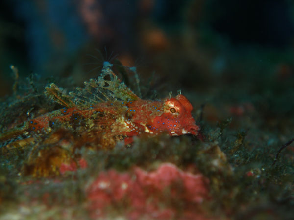 P1263432