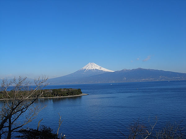 P1263421