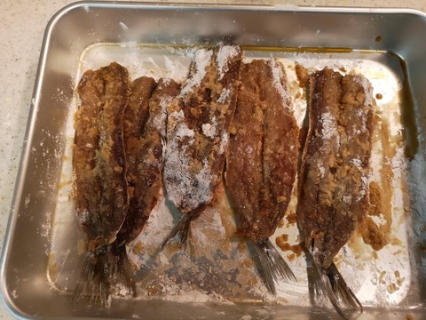 IddMG_20190324_194726 (3)