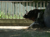 4a53d338.jpg