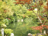 永観堂 池